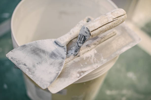 Reliable Cloverdale, IN Mold Removal Solutions